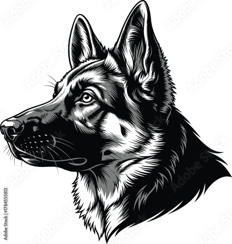 German shepherd dog portrait vector illustration black and white art eps silhouette