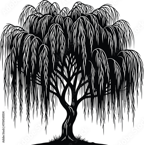 Weeping willow tree silhouette vector art isolated black and white art eps