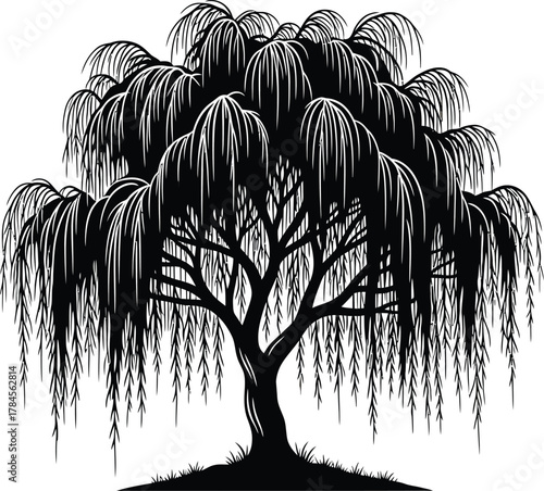 Weeping willow tree silhouette vector illustration nature garden art eps