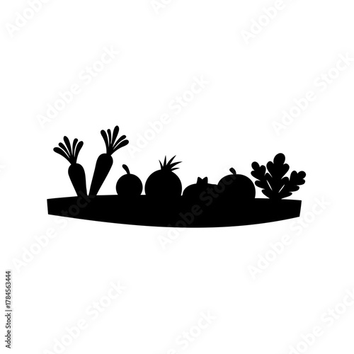 Silhouette of Harvest Vegetables Growing in a Row on a Farm Plot