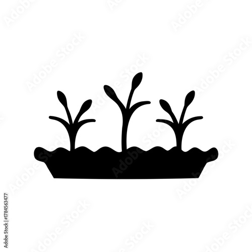 Black silhouette of young plants growing in a pot with fertile soil
