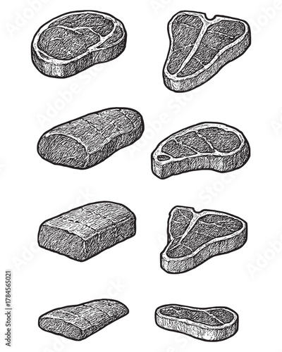 Hand-Drawn Collection of Raw Meat Cuts and Steaks vintage engraved illustration of raw meat cuts and steaks, showcasing traditional butcher-style design. Perfect for culinary branding, restaurant menu