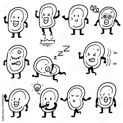 vector set of ear cartoon