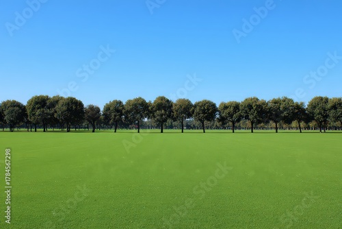 Fototapeta Naklejka Na Ścianę i Meble -  Lush Green Meadow With Row Of Trees Under Clear Blue Sky Sunlight