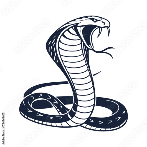 vector illustration of a snake