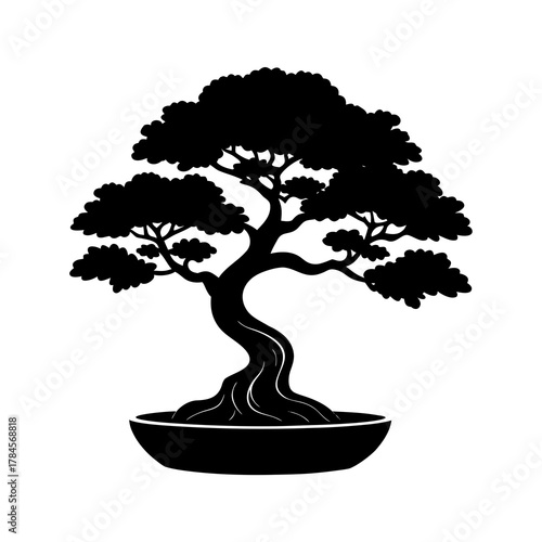 silhouette of a bonsai tree 