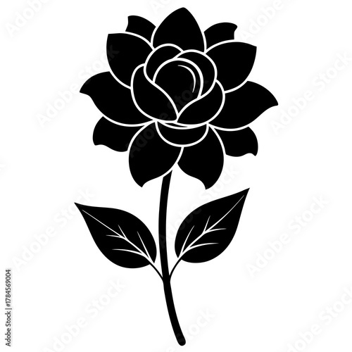 vector illustration of a flower