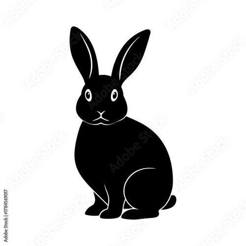white rabbit isolated on white