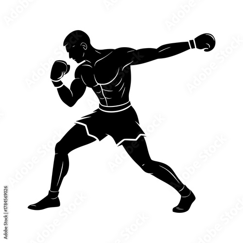 silhouette of a boxer