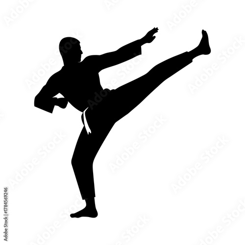 karate fighter delivering a high kick