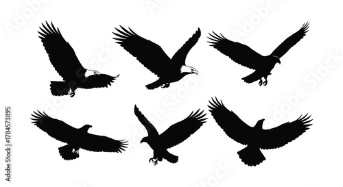 A group of eagles flying in various dynamic poses