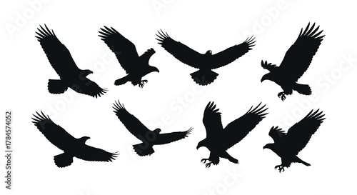 A group of eagles flying in various dynamic poses