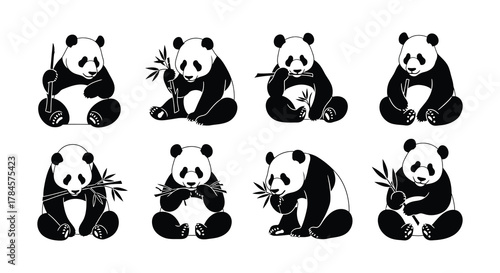 Pandas enjoying bamboo in various playful poses