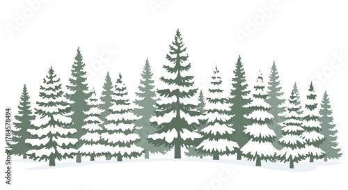 A scenic winter forest landscape illustration with snow-covered pine trees forming a dense woodland