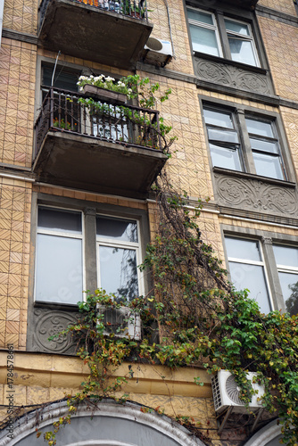 old house with windows