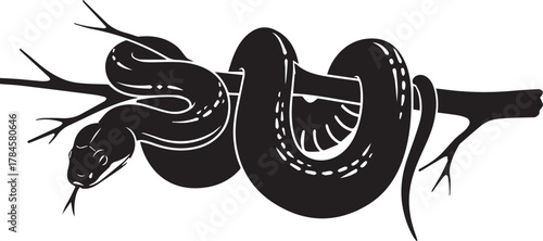 Silhouetted black snake coiled around a tree branch in stark contrast