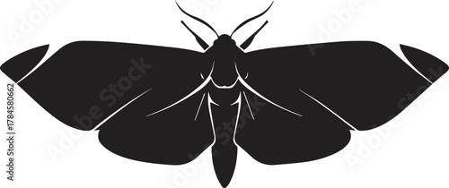 Silhouetted moth with detailed wings spread wide in dark silhouette