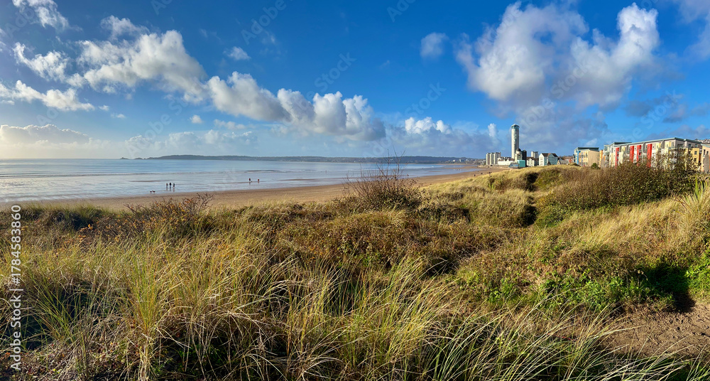 Fototapeta premium Swansea Bay Panoramic