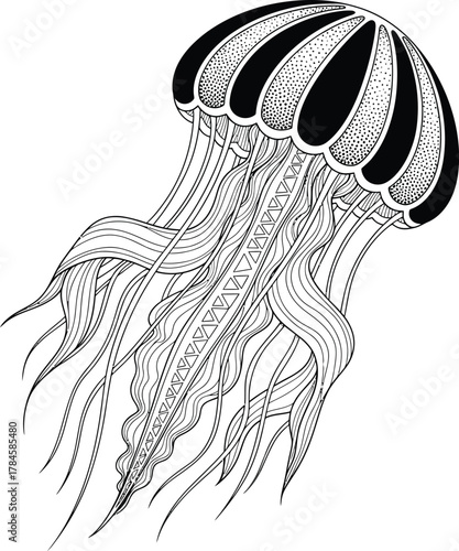 Detailed jellyfish illustration black and white ocean life art design eps silhouette