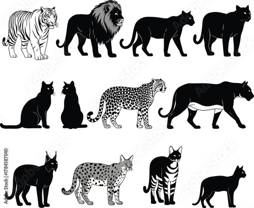Vector illustration of various feline animals tiger lion leopard cats eps silhouette