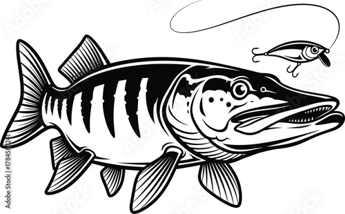 Northern pike fishing lure vector illustration predatory fish design eps silhouette