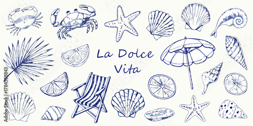 La dolce vita italian phrase with hand drawn beach elements like seashells crabs starfish palm leaf and citrus slices