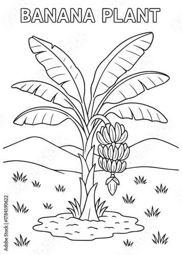coloring book banana plant growing on fertile soil near hills