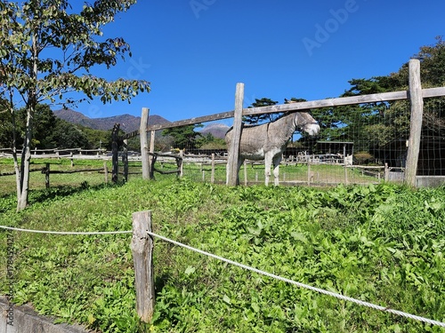 Schilderij op canvas 那須高原の牧場とロバと茶臼岳