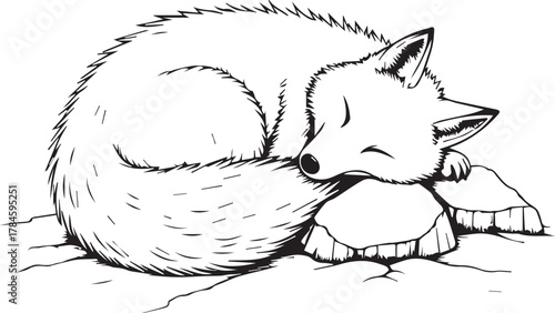 A Peaceful Sleeping fox, Resting Sweetly.