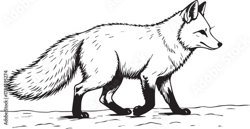 A meticulously crafted illustration showcases a sleek fox striding with purpose, its form a study in elegance and movement. The monochromatic style emphasizes the graceful lines of the animal.