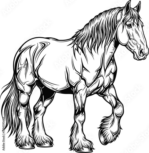 Detailed line art of a shire horse illustration vector drawing design eps silhouette