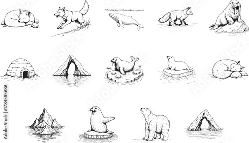 An artistic collection of ice, snow and wildlife on a black and white theme. capturing the cold climate wildlife.