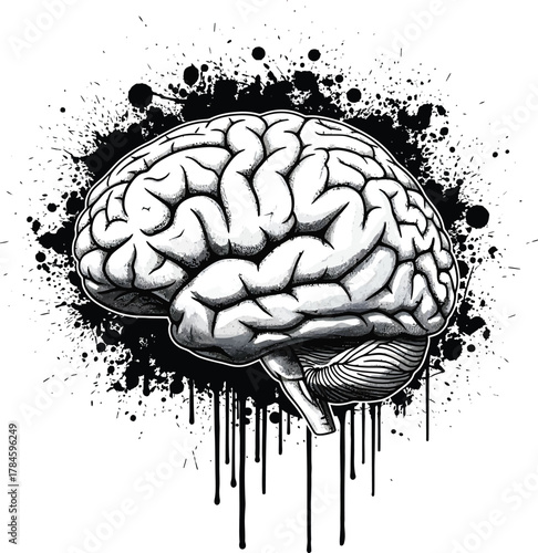 Human brain illustration with ink splatter for medical and science art eps silhouette