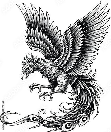 Detailed phoenix illustration black and white mythical bird tattoo design eps silhouette