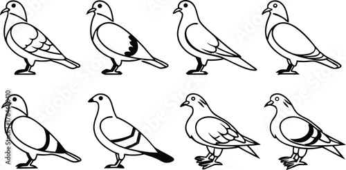 Set of eight pigeon birds vector illustration. Collection of dove line art icons