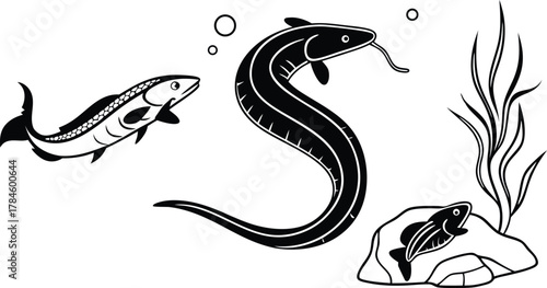 Underwater scene with eel and fish vector illustration. Black and white marine life graphic set
