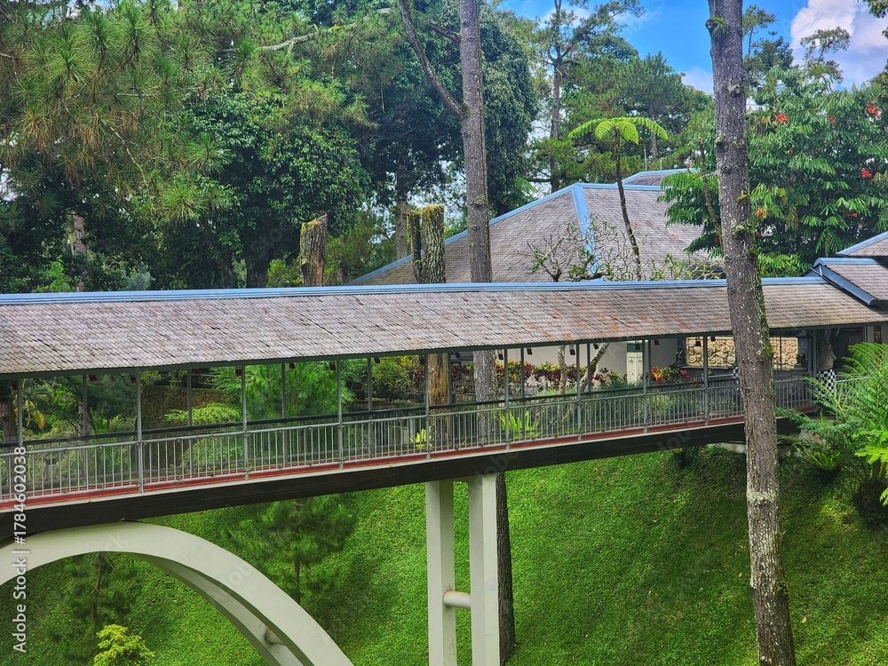 Fototapeta premium bridge over the river