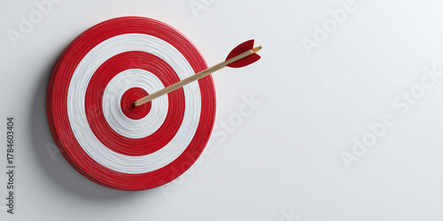 Enigmatic Archery Realm: A Mesmerizing Minimalist Circular Target Mounted on a Captivating Wooden Canvas