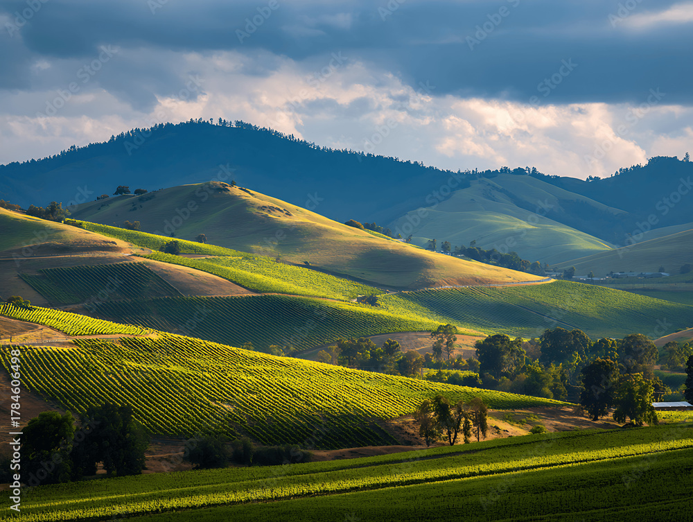 Obraz premium Green summer mountain panorama with sky, grass, and trees in the Alps