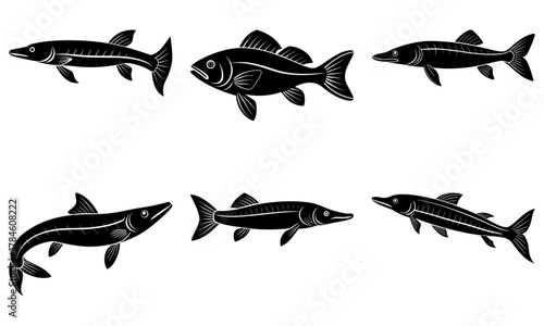 Collection of six distinct black and white fish illustrations showcasing aquatic life in a clear, graphic style perfect for design projects