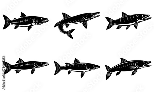 Dynamic collection of six distinct fish illustrations, perfect for aquatic themes, nature studies, and educational content, showcasing sleek predatory forms.