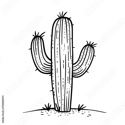 Hand drawn black and white desert cactus illustration with two side arms and spines in doodle sketch style isolated on white background minimal vector drawing