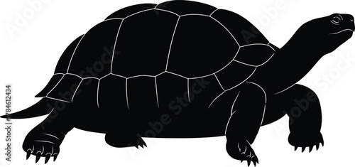 Isolated black silhouette of a tortoise reptile on a white background eps