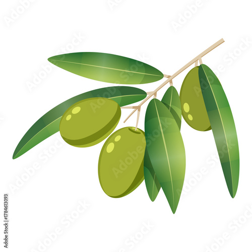 Olive green tree branch with berries