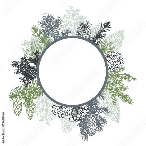 Hand-drawn branches and cones of coniferous trees. Sketch Christmas plants. Vector frame.  