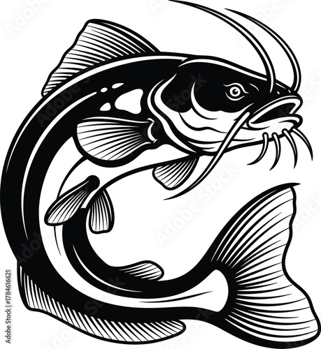 Catfish drawing vector illustration for fishing logo and design element eps silhouette