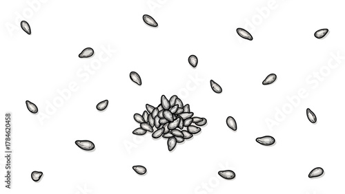 A pile of sesame seeds in the center surrounded by scattered seeds