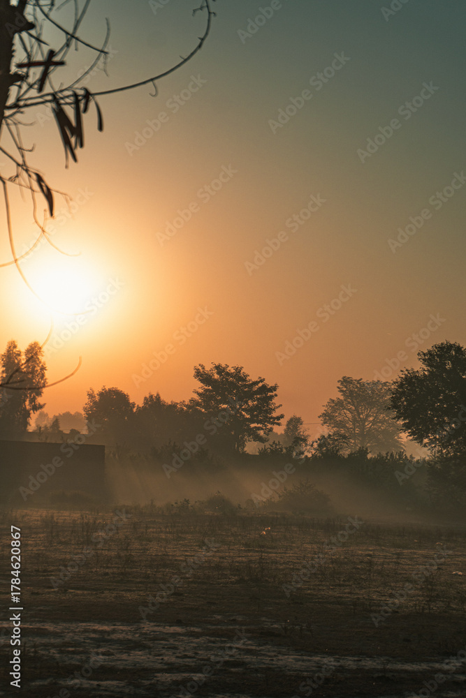 Naklejka premium Sunrise landscape photography with golden light over trees and field in the morning time scene view