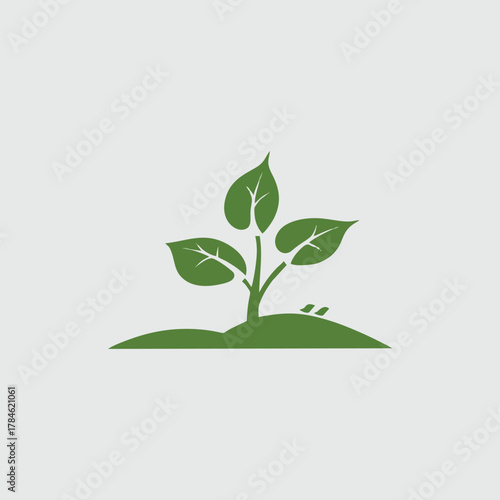 Illustration of a small plant growing from the ground, symbolizing growth and nature.