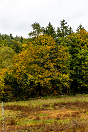 Eine wunderschöne kleine Wanderung durch den Herbst im Südwesten des Thüringer Waldes rund um Schmalkalden - Thüringen - Deutschland